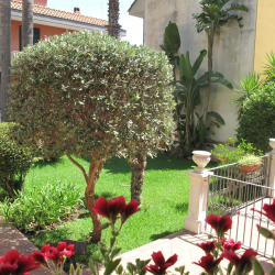 Casa Vacanze Sicily For You Apartment